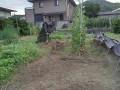 IMG_20260717_183629