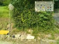IMG_20260718_082715