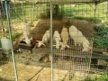 IMG_20260718_083043