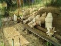 IMG_20260718_083049
