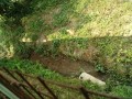 IMG_20260718_083135