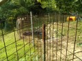 IMG_20260718_083158