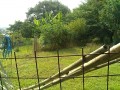 IMG_20260718_083201