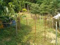 IMG_20260718_083209