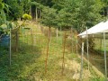 IMG_20260718_083212