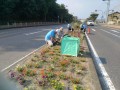 IMG_20260719_081844