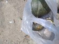 IMG_20260719_104703