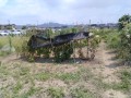 IMG_20260719_104728
