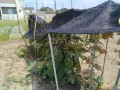 IMG_20260719_104931