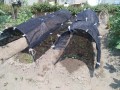 IMG_20260719_105712