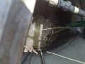 IMG_20260719_120115