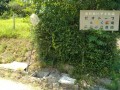 IMG_20260719_120124