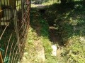 IMG_20260719_120722