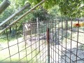 IMG_20260719_120753