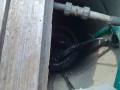 IMG_20260720_092113