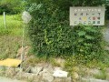 IMG_20260720_092121