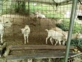 IMG_20260720_092315