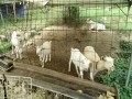 IMG_20260720_092321