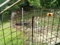 IMG_20260720_092410