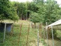 IMG_20260720_092425