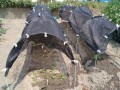 IMG_20260720_113341