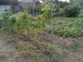 IMG_20260720_184338