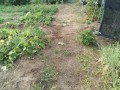 IMG_20260720_184345