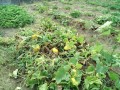 IMG_20260720_184349