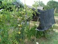 IMG_20260720_184412