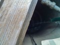 IMG_20260721_083426