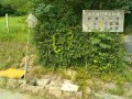IMG_20260721_083437