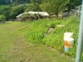 IMG_20260721_083525