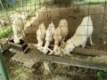 IMG_20260721_085117