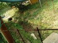 IMG_20260721_085128