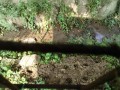 IMG_20260721_085150