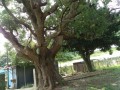 IMG_20260721_100347