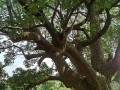 IMG_20260721_100414
