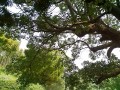 IMG_20260721_100416