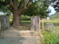 IMG_20260721_100453