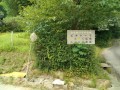 IMG_20260722_100358