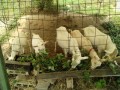 IMG_20260722_100917