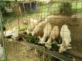 IMG_20260722_100923