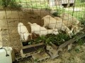 IMG_20260722_100931