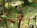 IMG_20260722_100954