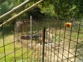 IMG_20260722_101018