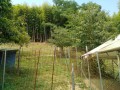 IMG_20260722_101031