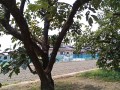 IMG_20260722_114115