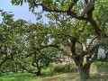 IMG_20260722_114118