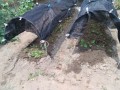 IMG_20260722_115931