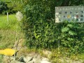 IMG_20260723_091043